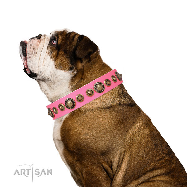 English Bulldog handmade leather dog collar with decorations