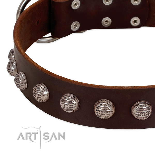 Brown leather dog collar with cool decorations