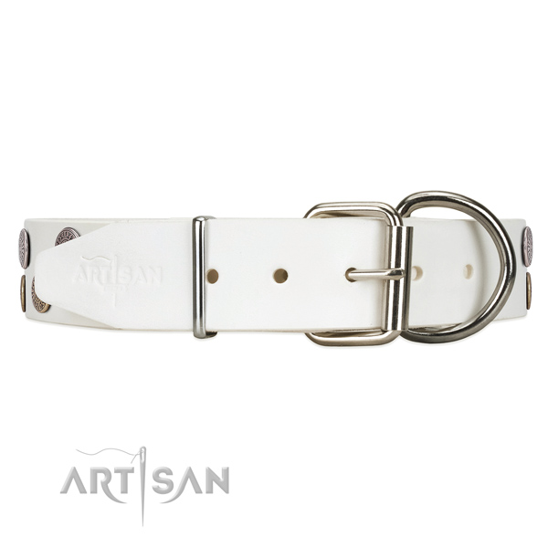 Comfy to handle leather dog collar with strong hardware