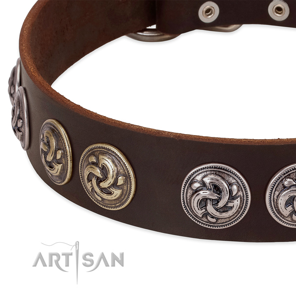 Uniquely Designed Dog Collar Adorned with Rustproof Fittings