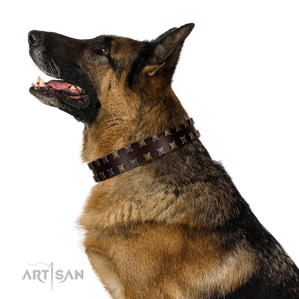 German Shepherd brown leather dog collar for daily activities