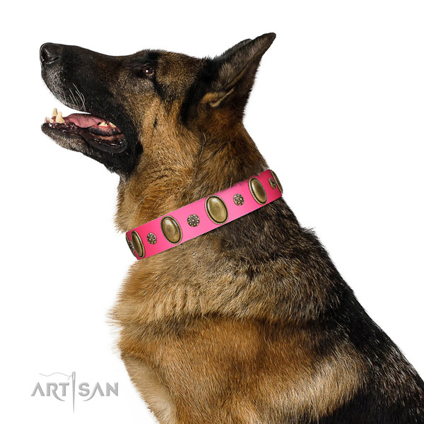 Reliable German Shepherd leather collar for walking