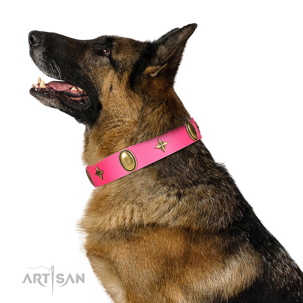 Reliable German Shepherd leather collar for walking in style