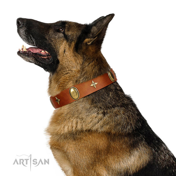 Tan leather German Shepherd collar made to last