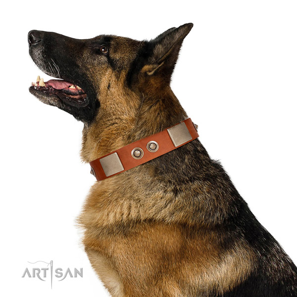 Tan Leather German Shepherd Collar for Perfect Look