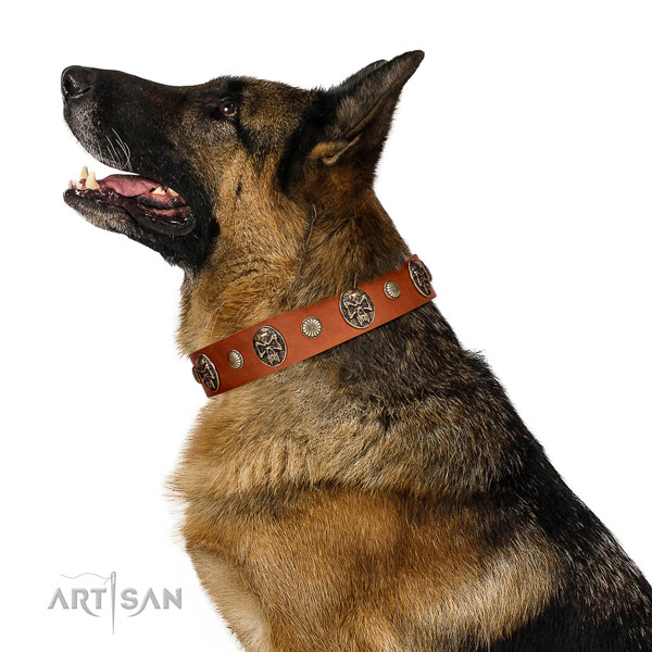 Antique Leather Dog Collar for Stylis German Shepherds