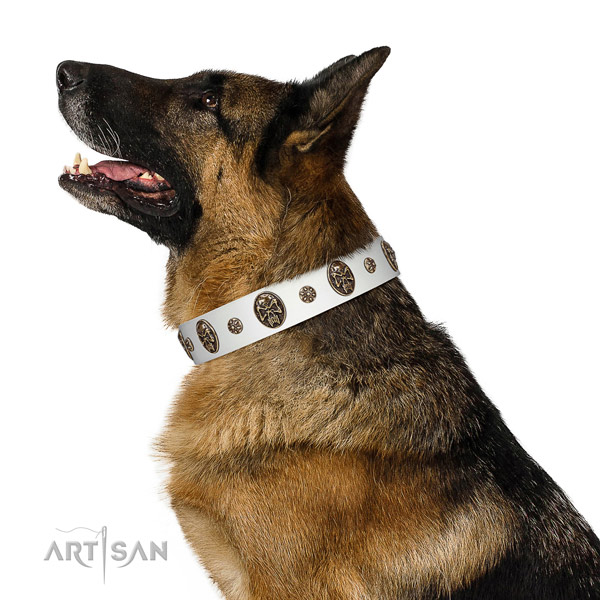 Premium quality German Shepherd Artisan leather collar
for comfortable wear
