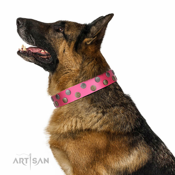 Decorated leather German Shepherd collar for comfortable
walking