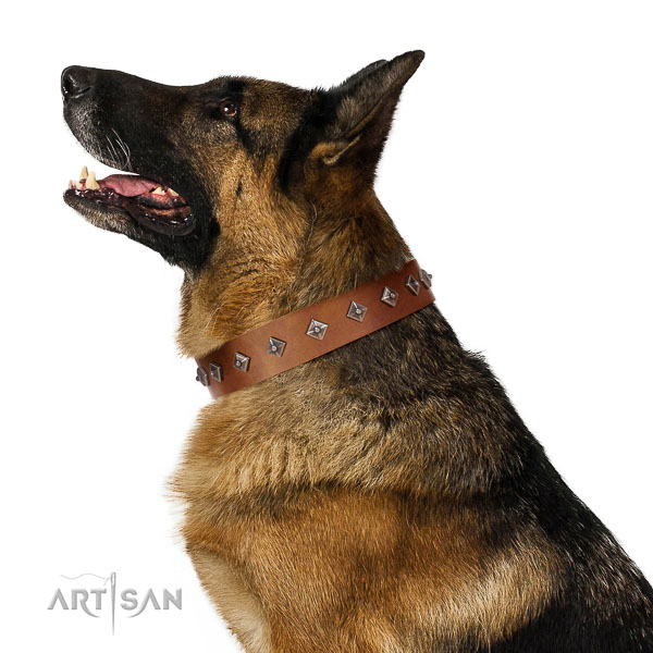 Top-notch quality leather German Shepherd
collar for comfortable walks