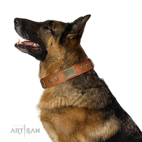 German Shepherd easy wearing dog collar of soft genuine leather