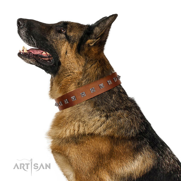 Safe Leather Dog Collar Matches German Shepherd Perfectly