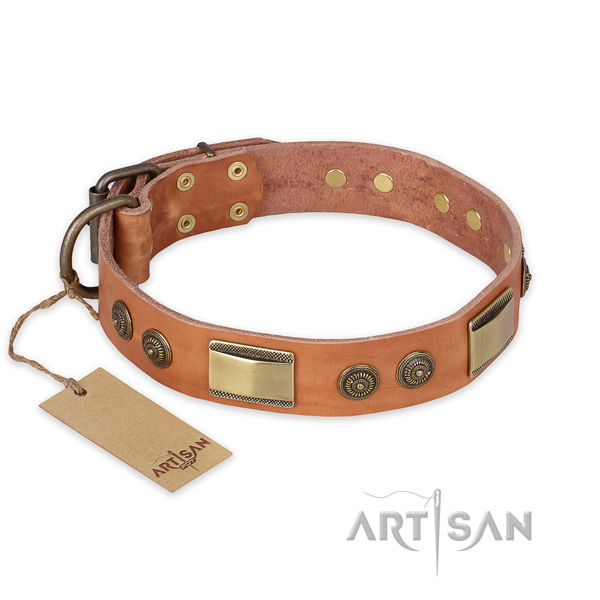 Designer Leather Dog Collar of Tan Color