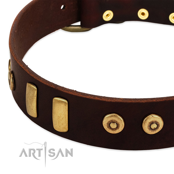 Brown dog collar with large plates and dotted studs