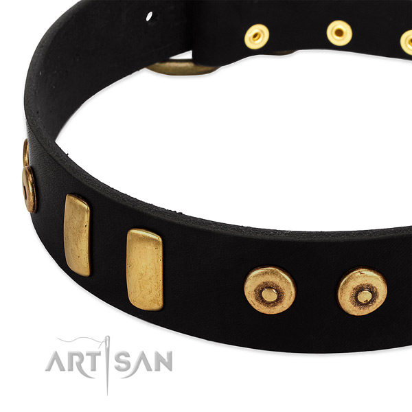Black dog collar with large plates and dotted studs