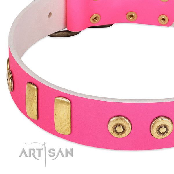 Designer pink dog collar with plates and dotted studs