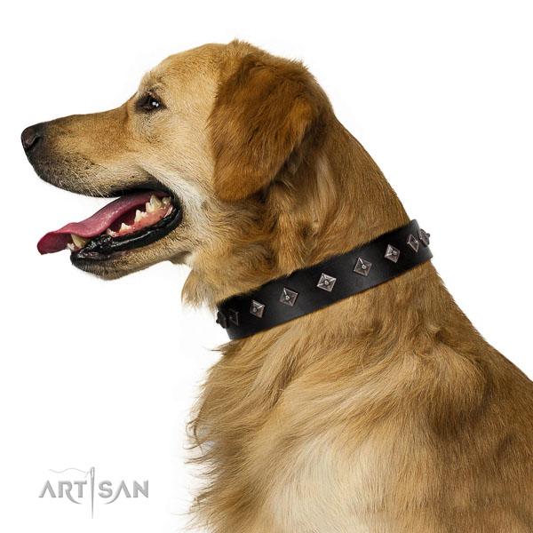 New elegant walking black leather Golden Retriever collar
with
chic decorations