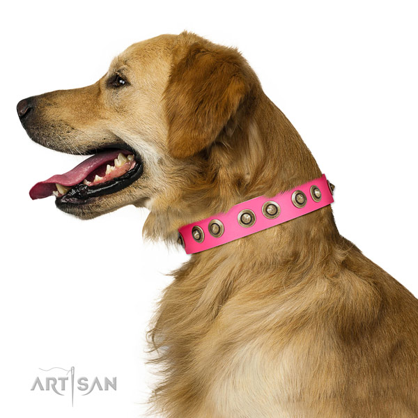 FDT Artisan Pink Leather Golden Retriever Collar with Stylish Medallions