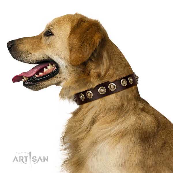 Pleasant to the skin leather Golden Retriever collar for daily use