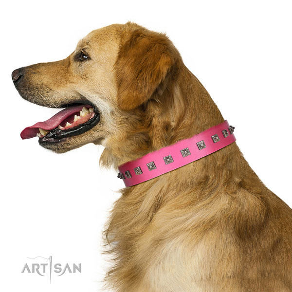 Extraordinary walking pink leather Golden Retriever
collar with chic decorations