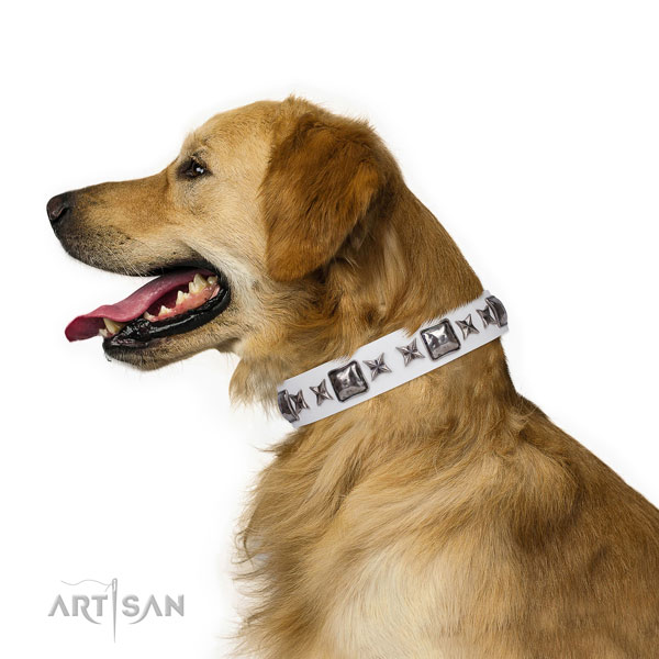 Golden Retriever easy adjustable full grain natural leather dog collar with adornments