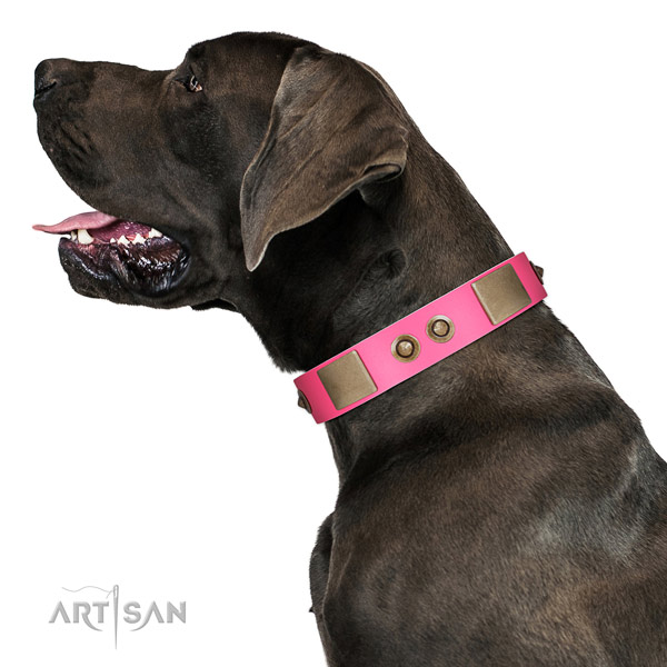 Genuine Pink Leather Great Dane Collar for Lady Dog