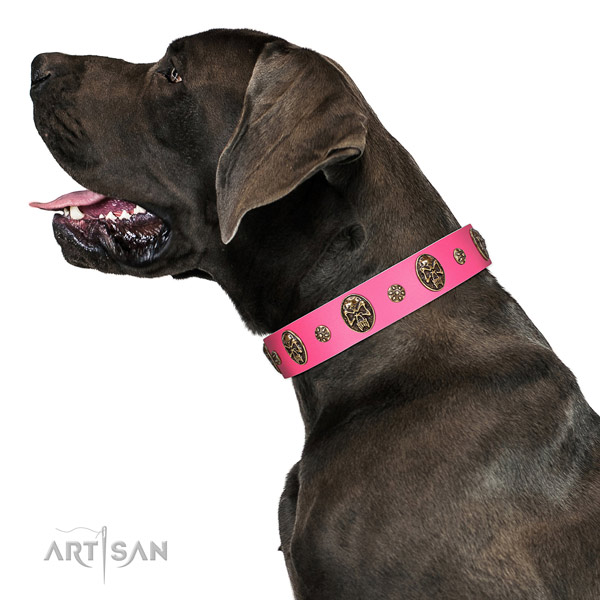 exceptional Style Pink Leather Great Dane Collar
