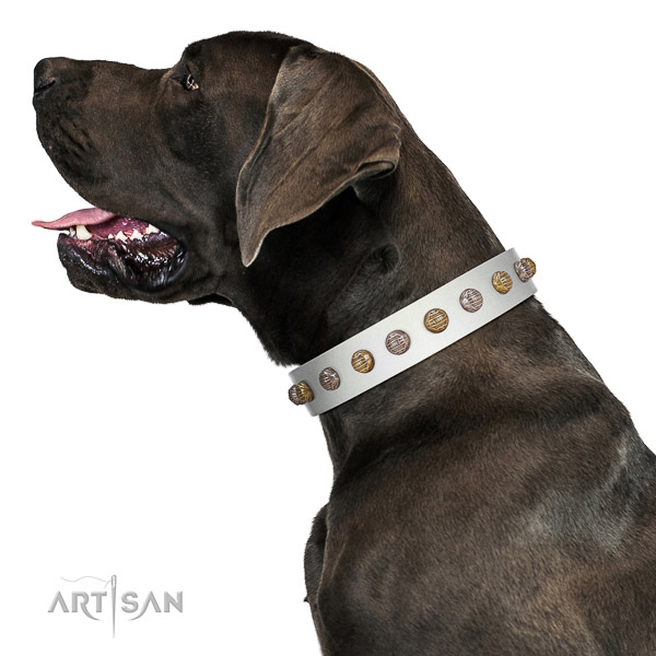 Extraordinary walking white leather Great Dane collar
with
chic decorations
