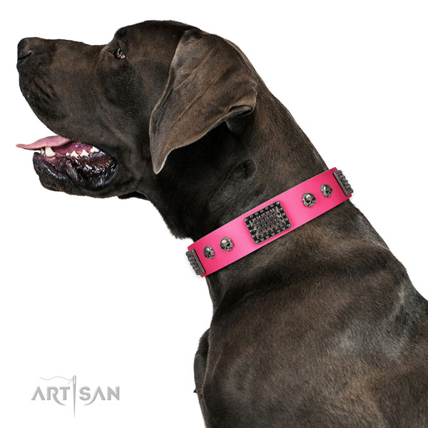 Great Dane easy wearing dog collar of comfortable leather