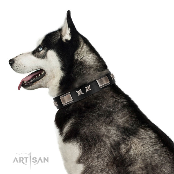 Soft to the touch leather Husky collar for daily use