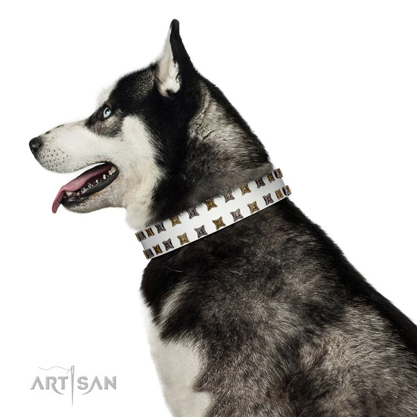 Decorated with Silvery and Gold-like Studs Leather Collar for Husky