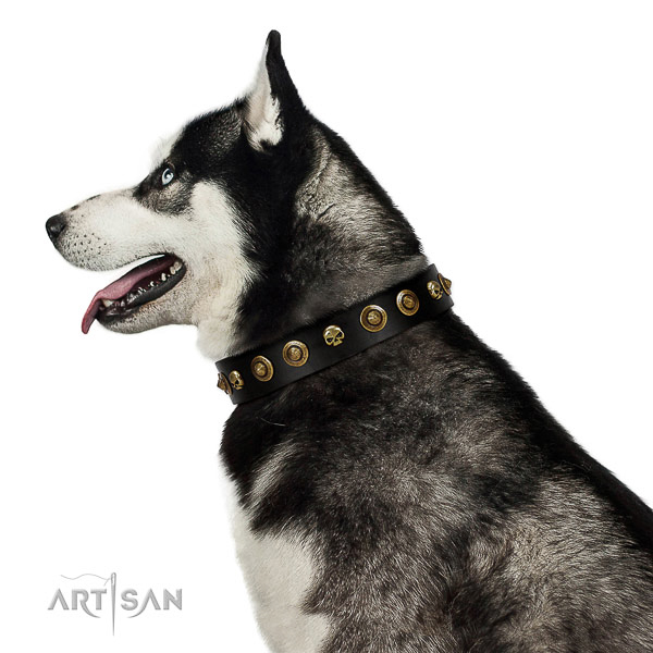 Premium quality Husky Artisan leather collar for
comfortable wear