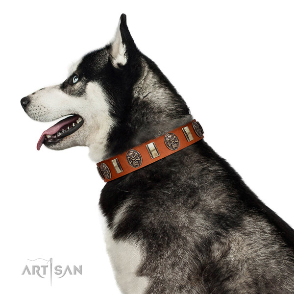 Gentle-to-touch Leather Husky Collar