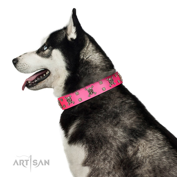 Extraordinary walking pink leather Husky collar with
chic decorations