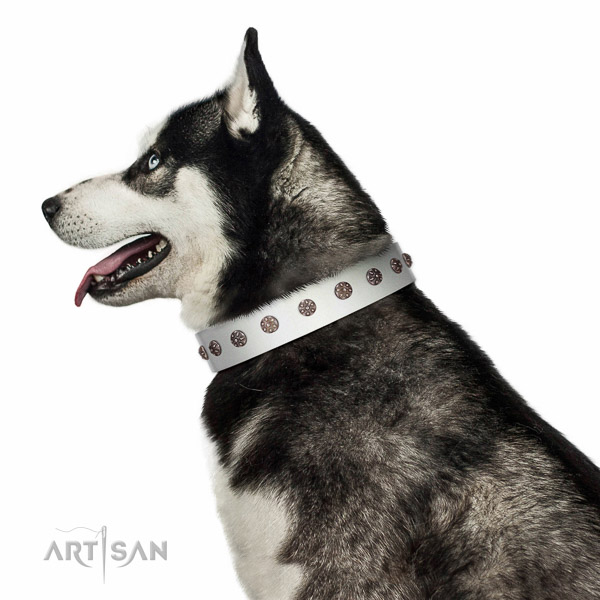 Extraordinary walking white leather Husky collar
with
chic decorations