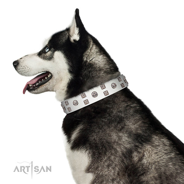 Exquisite style white leather dog collar for stylish Husky