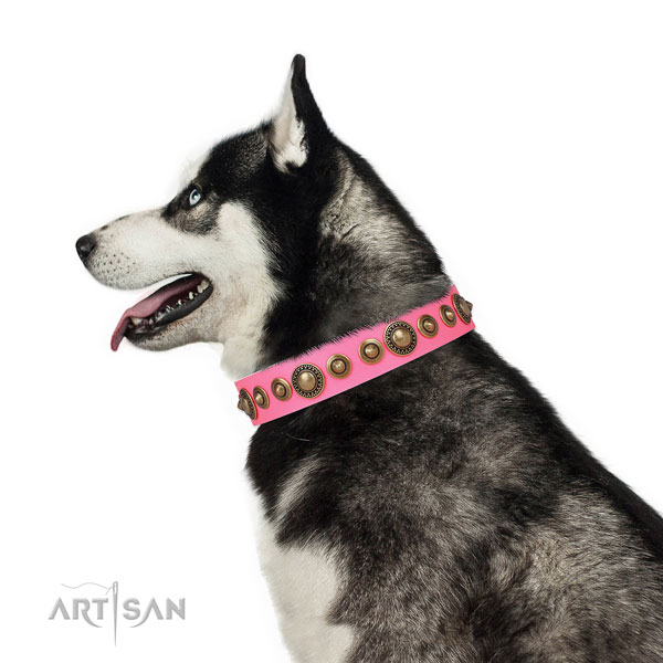 Husky comfortable full grain genuine leather dog collar with embellishments