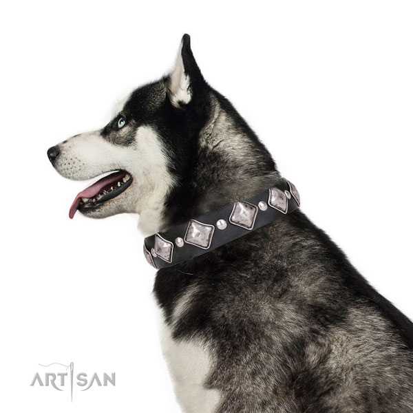 Husky embellished full grain leather dog collar with embellishments