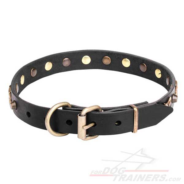Canine Leather Collar with Old Bronze Plated Steel Hardware
