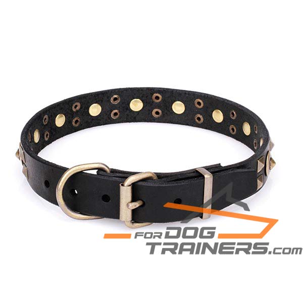 Leather Canine Collar with Rust-proof Hardware