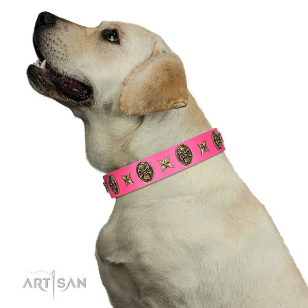 Gentle to Touch Genuine Leather Collar for Labrador Daily Walks
