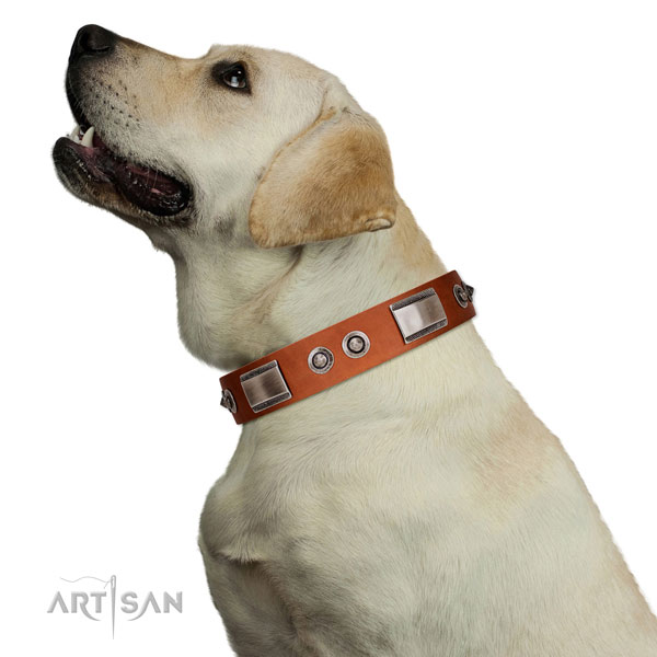 Convenient Leather Dog Collar with Soft Edges