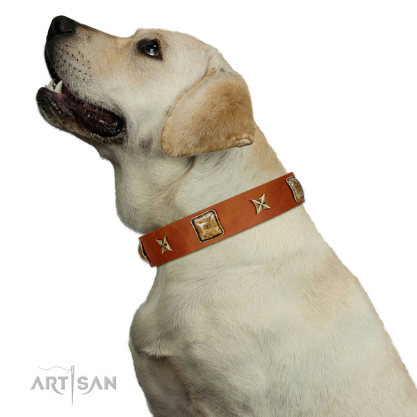 Easy adjustable Labrador Artisan leather collar for
comfortable wear