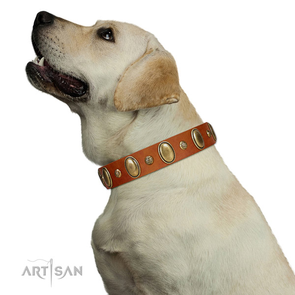 Premium quality Labrador Artisan leather collar
for comfortable wear