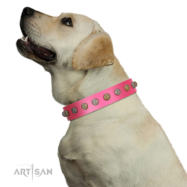 Elegant top-notch quality walking leather Labrador
collar
