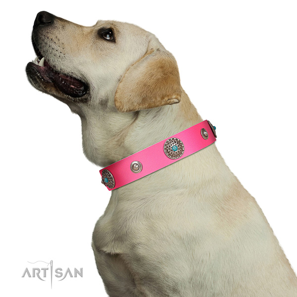 Perfect walking pink leather Labrador collar for modern
look of your dog