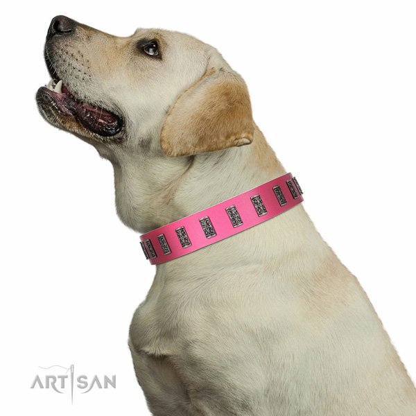 Extraordinary walking pink leather Labrador collar with
chic decorations