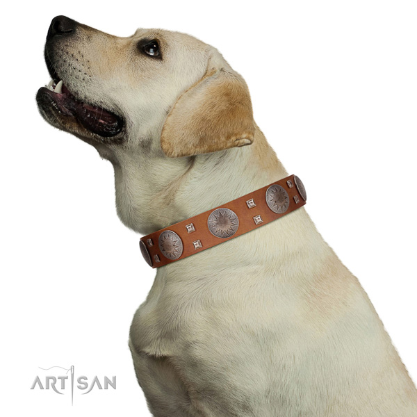  Labrador top quality natural genuine leather dog collar with embellishments