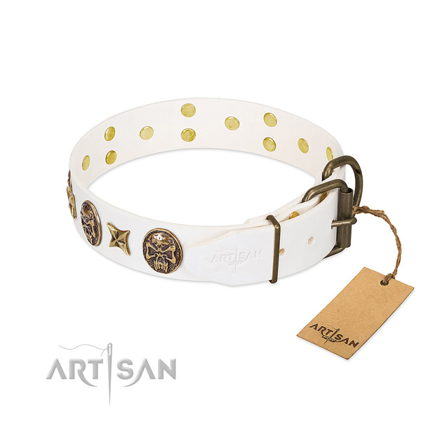 Top Notch Dog Collar with Medallions and Stars