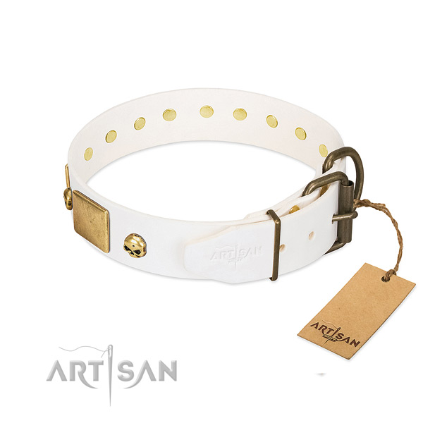 Top Notch Dog Collar with Rust-resistant Hardware