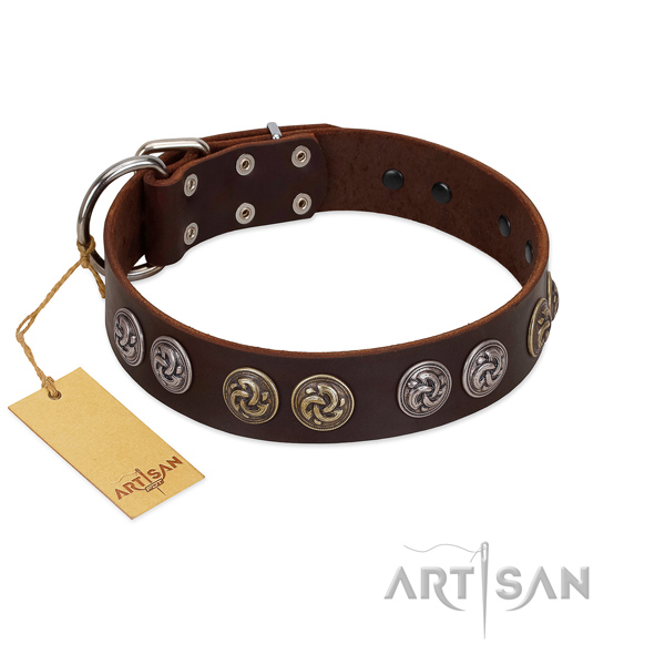 Brown Leather Dog Collar with Stunning Brooches
